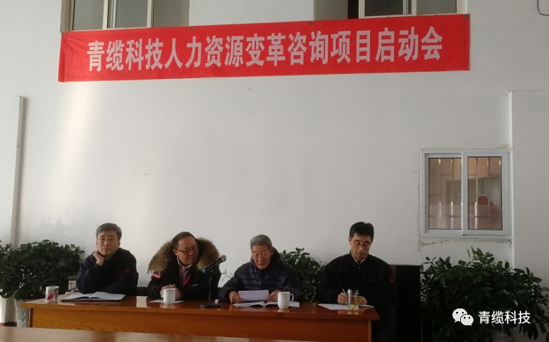 3200威尼斯vip科技人力资源变革咨询项目正式启动(图1)